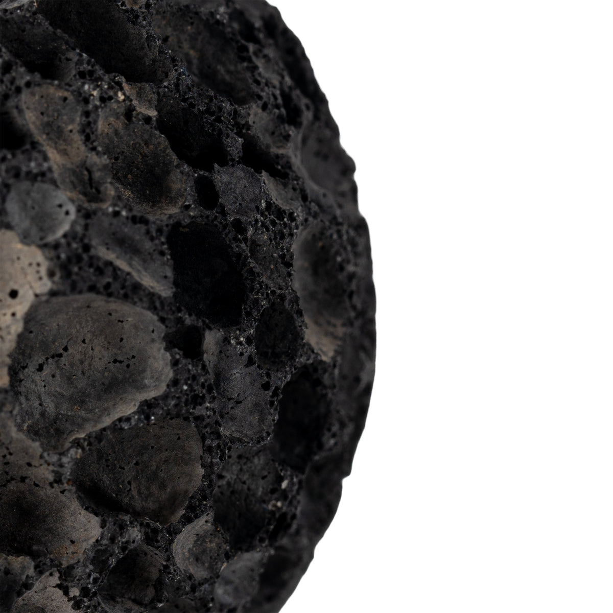 rhino-callus-ball-04.jpg